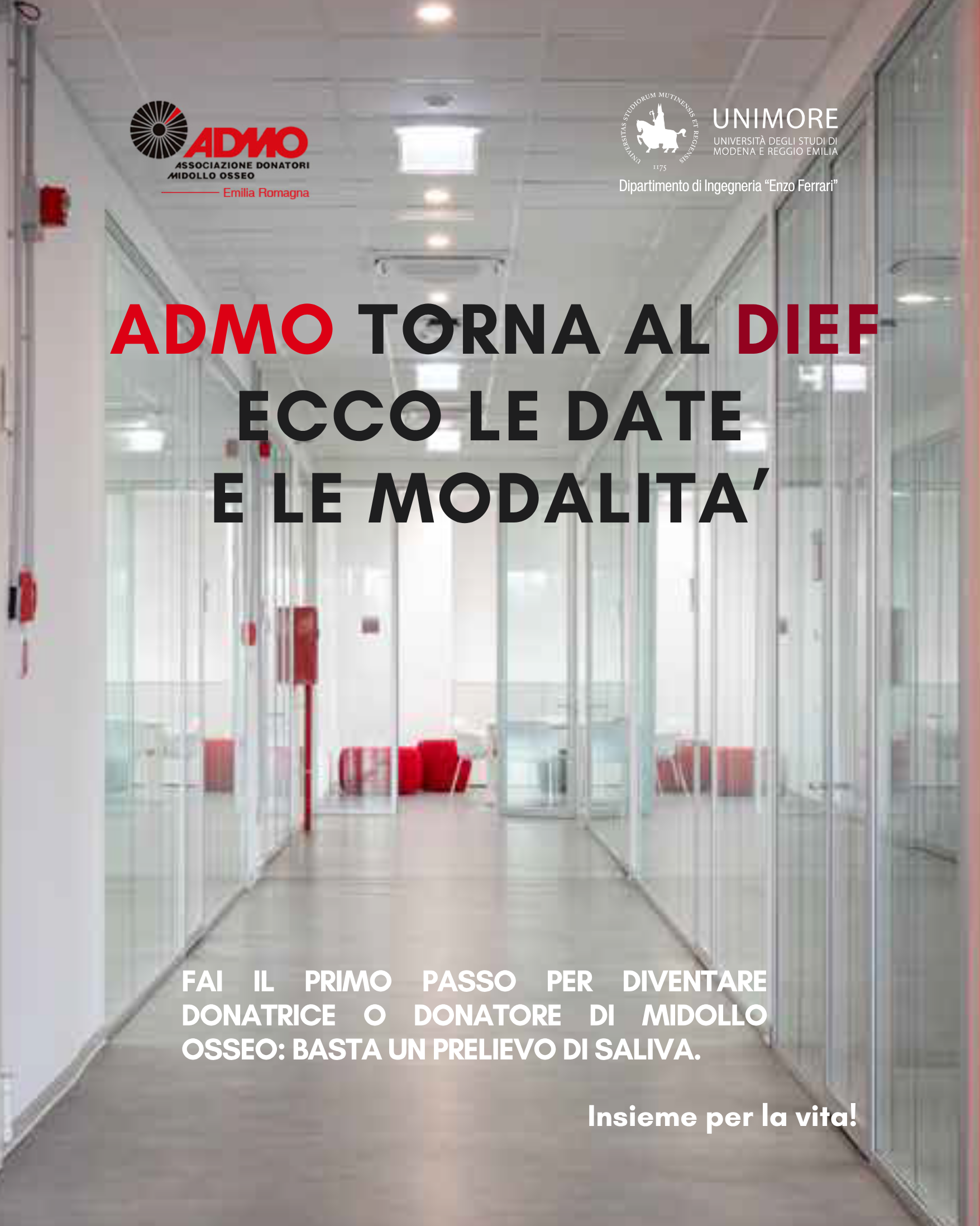 ADMO torna al DIEF! 